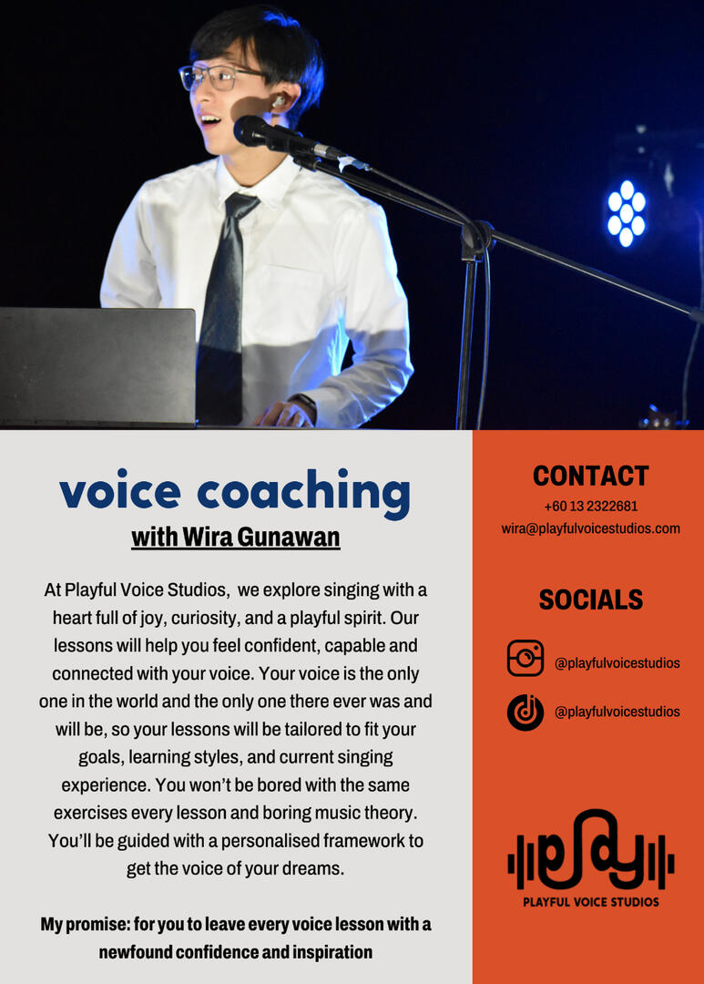playfulvoicestudios.com
